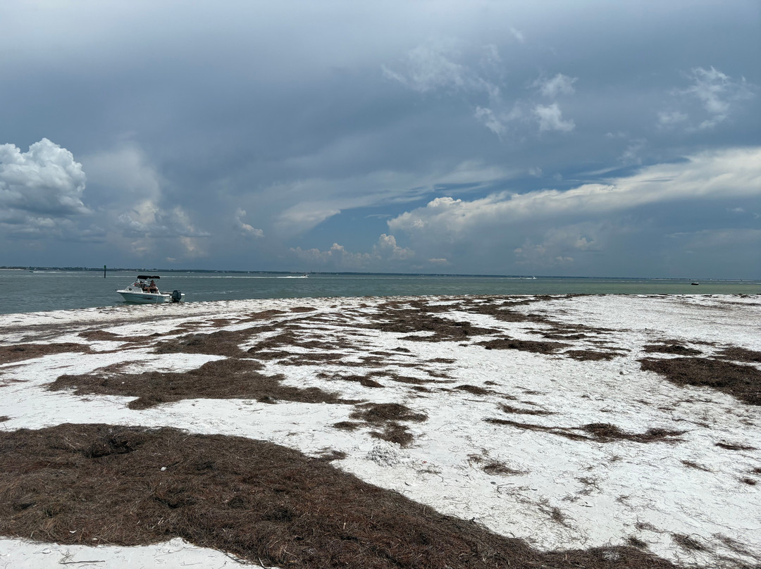 Spongeorama Sponge Factory-塔彭斯普林斯必去景点
