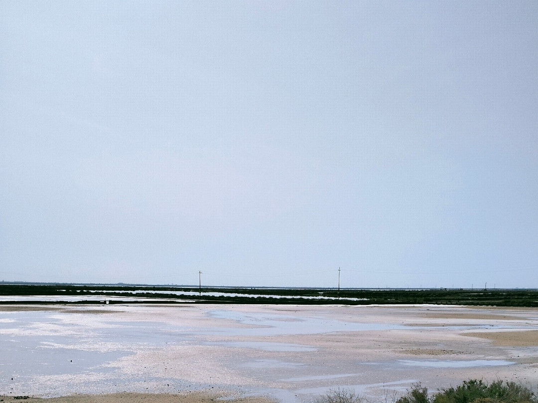 Saline Conti Vecchi-Assemini必去景点