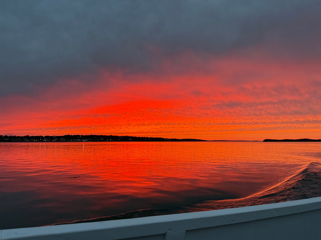 East Quoddy Tours-Campobello Island必去景点