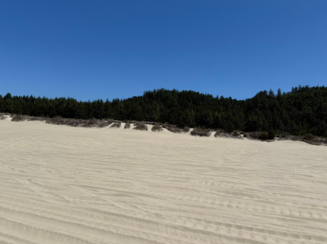 Ocean Breeze ATV Rentals-弗洛伦斯必去景点