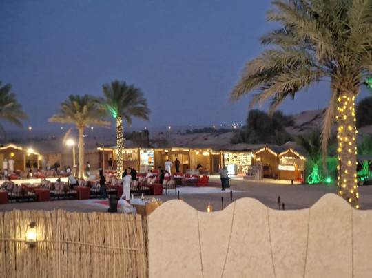 Dubai Leisure Holidays LLC-迪拜必去景点