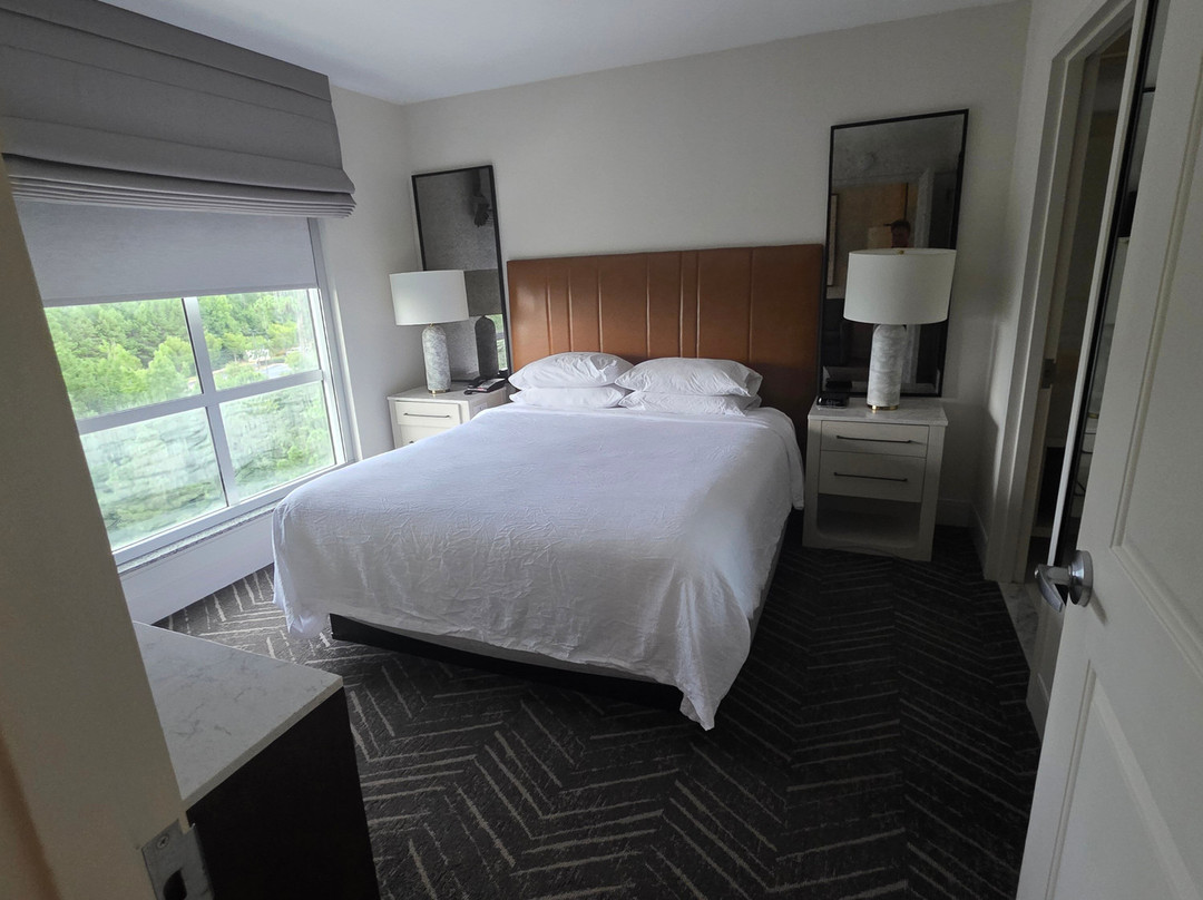 罗利达勒姆机场/石南木河合博套房酒店主图