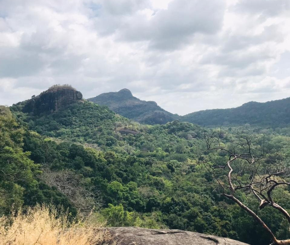 Kaludiya Pokuna Nature Walks-锡吉里亚必去景点
