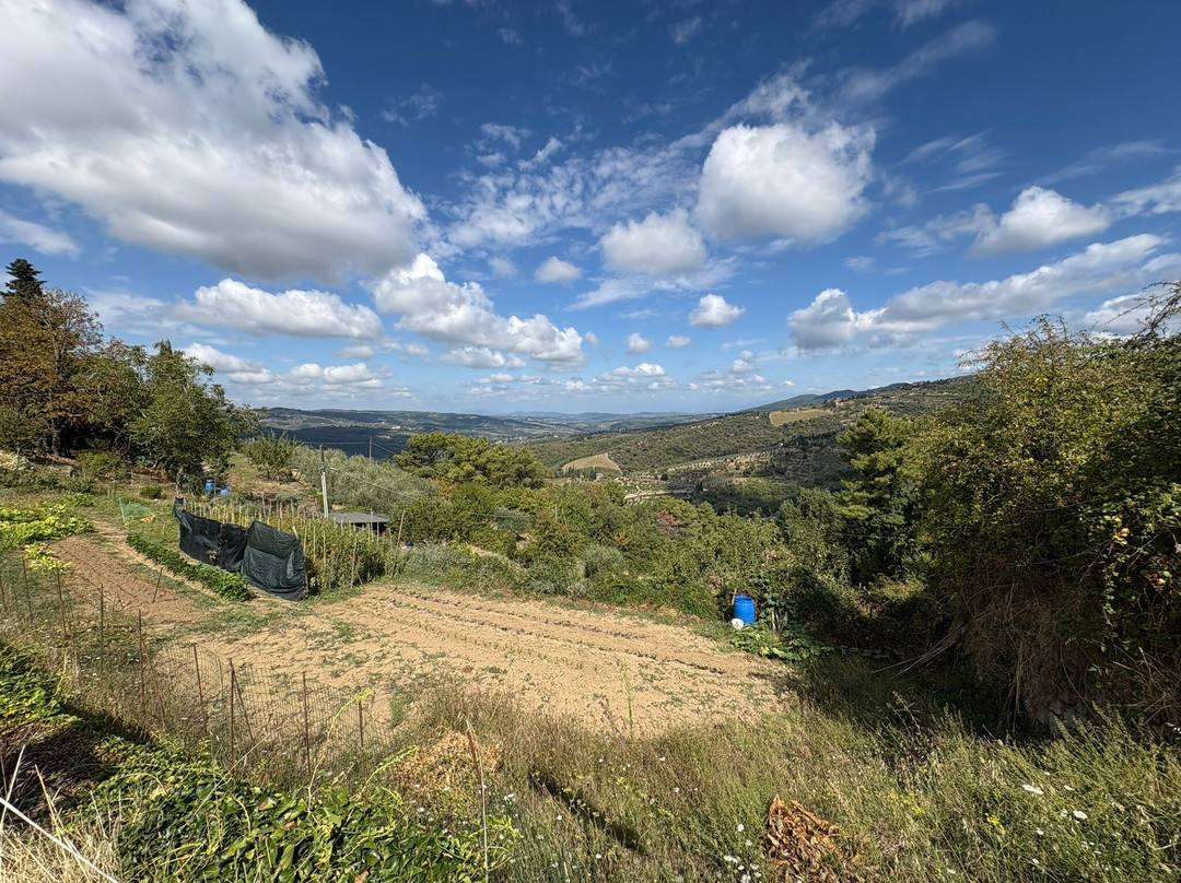 Discovery Chianti-格雷韦伊恩基亚恩蒂必去景点