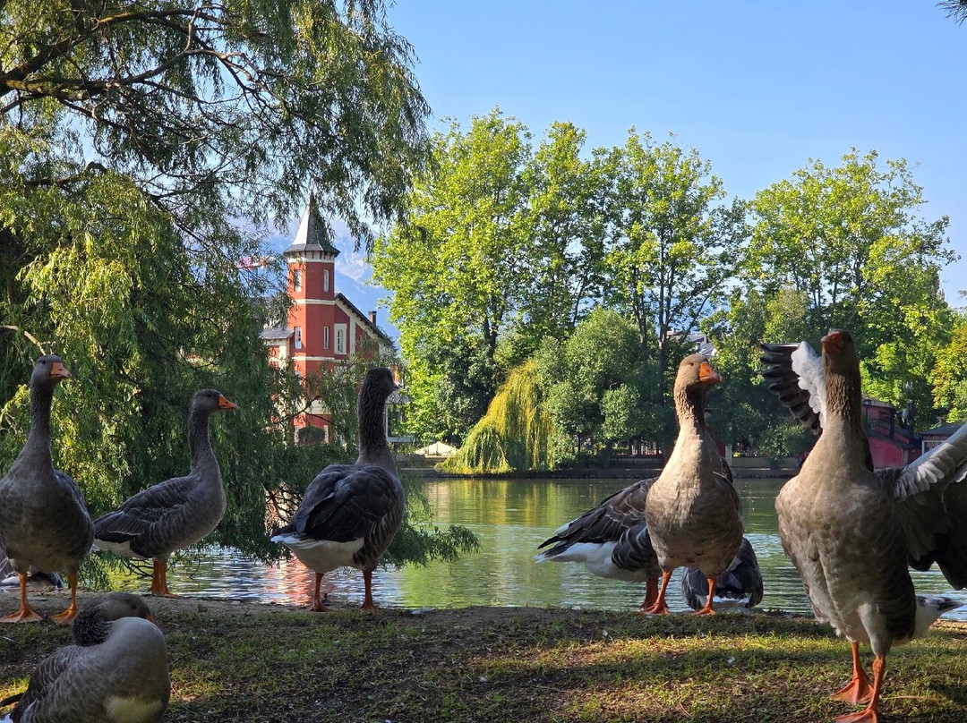 Lago de Puigcerda-Puigcerda必去景点