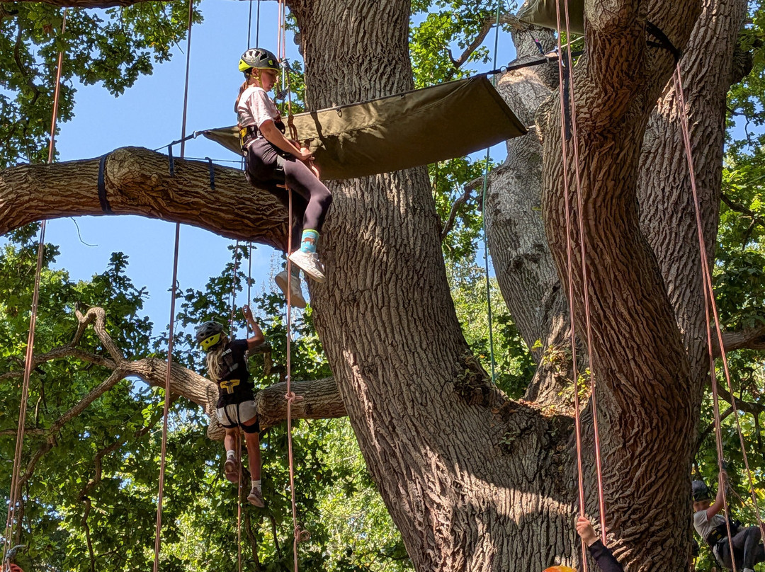 Goodleaf Tree Climbing-赖德必去景点