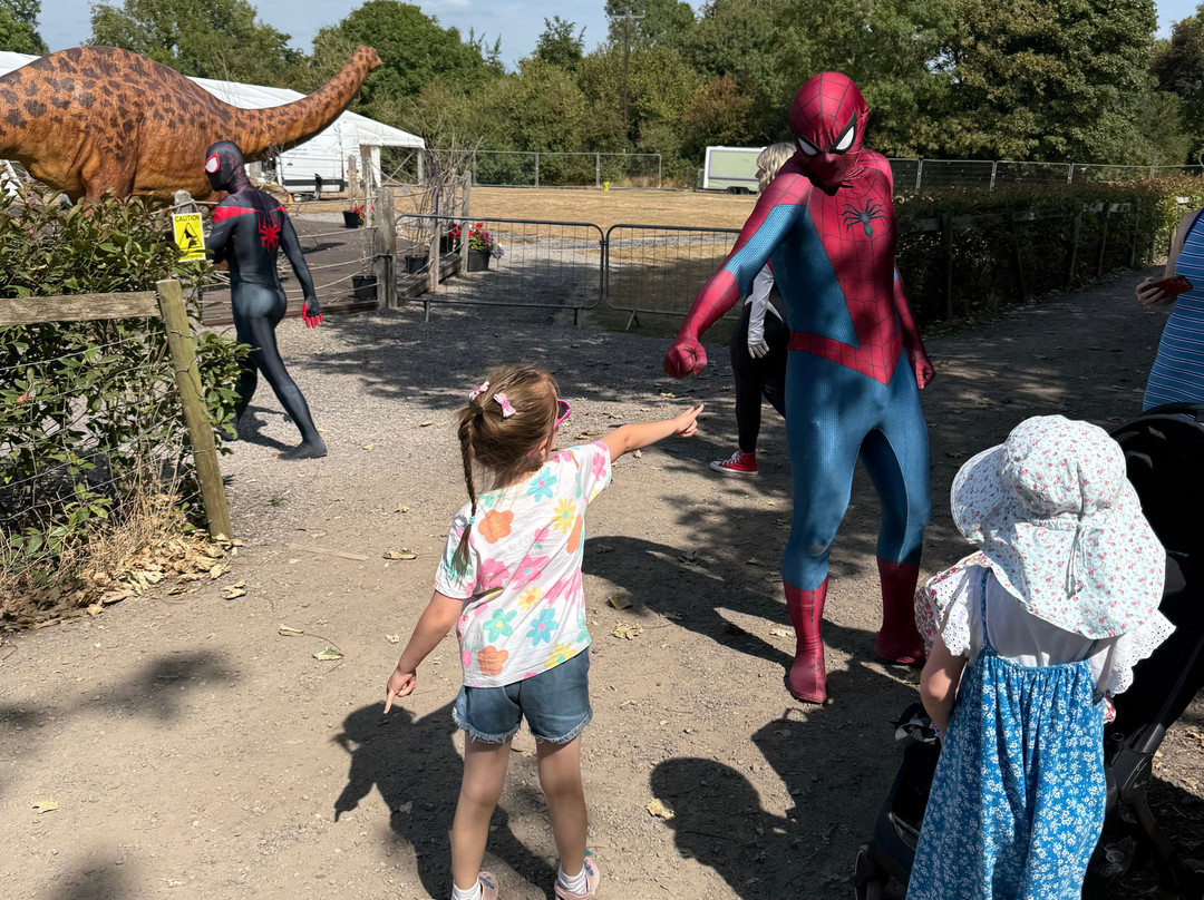 Fonmon Castle-Rhoose必去景点