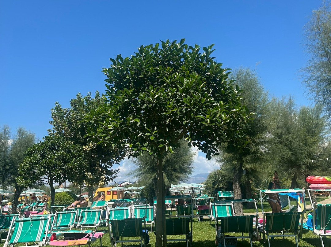 Isola Verde AcquaPark-Pontecagnano Faiano必去景点