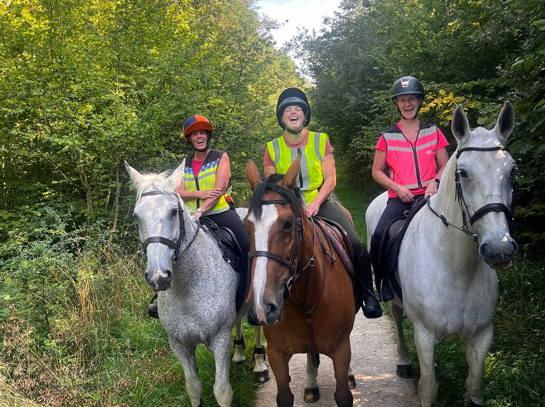 Salcey Forest-Hartwell必去景点