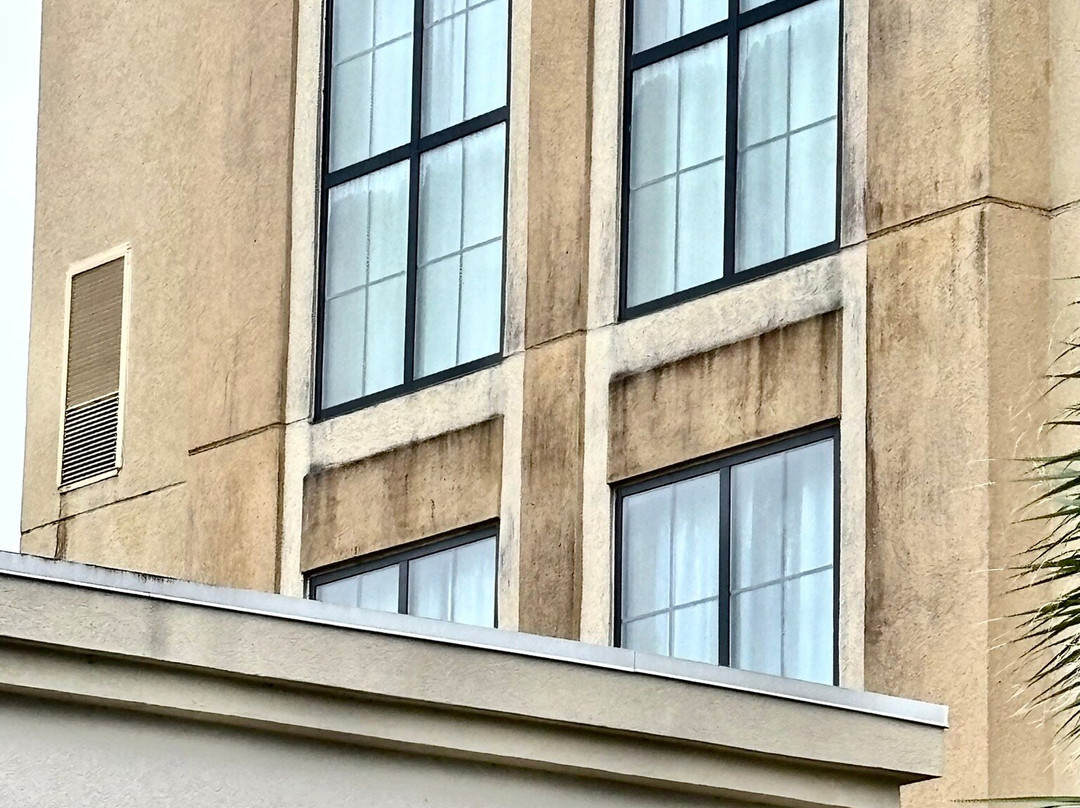 Comfort Suites Near Rainbow Springs主图