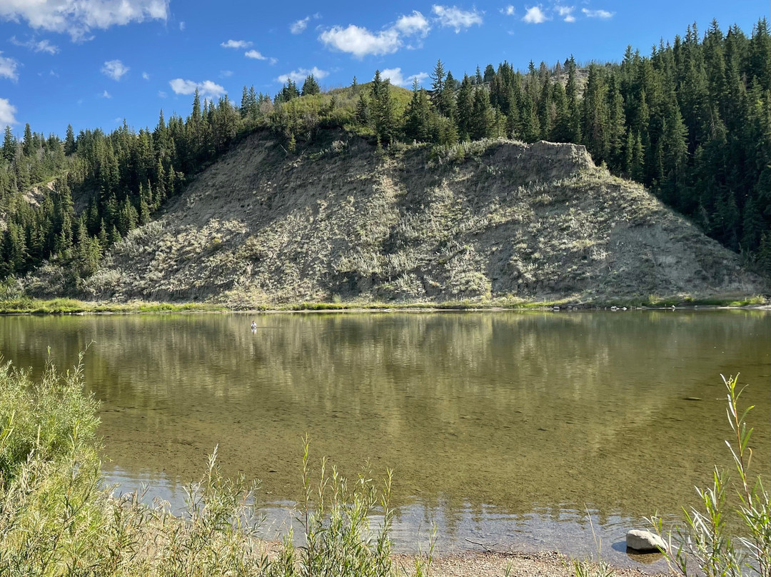 省立德莱岛野牛公园-Elnora必去景点
