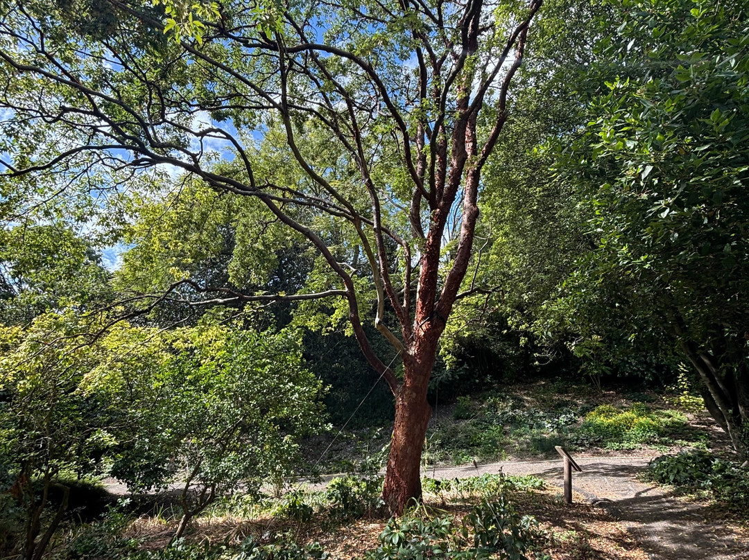 Highdown Gardens-沃辛必去景点