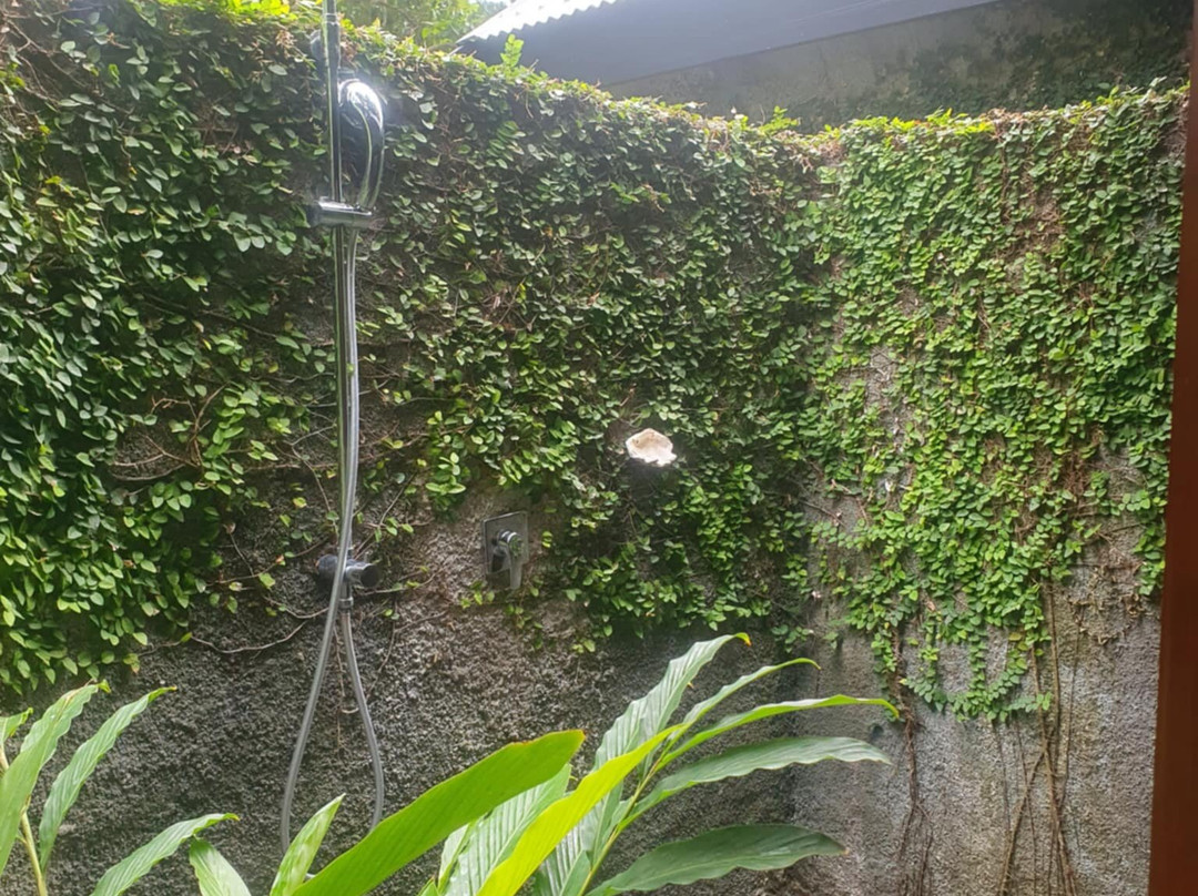 Waya Island Resort主图