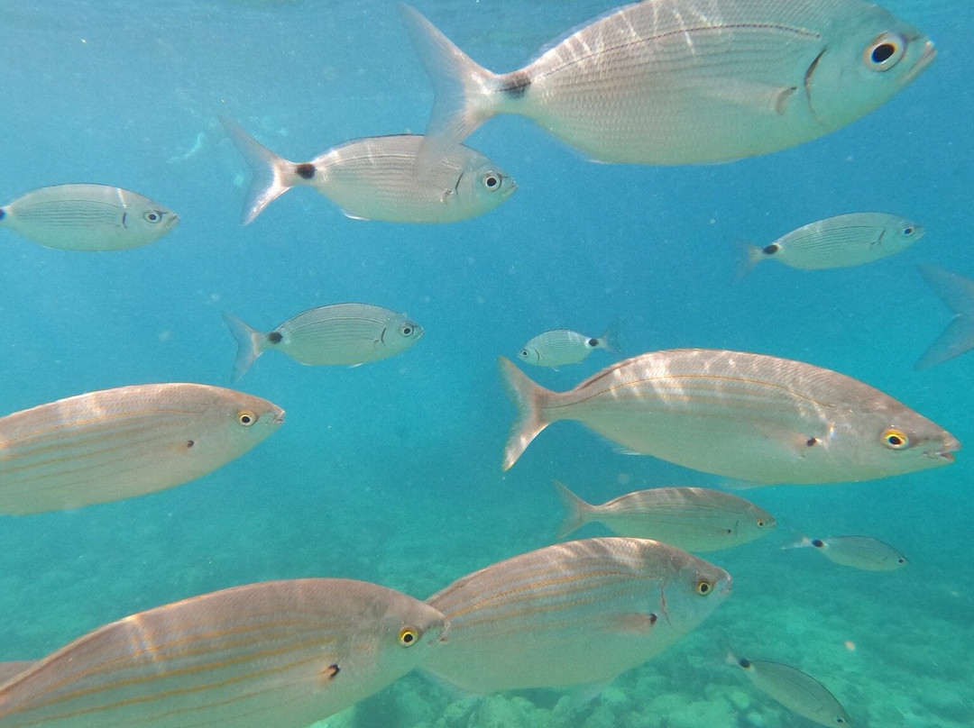 Cala El Raco-卡尔佩必去景点