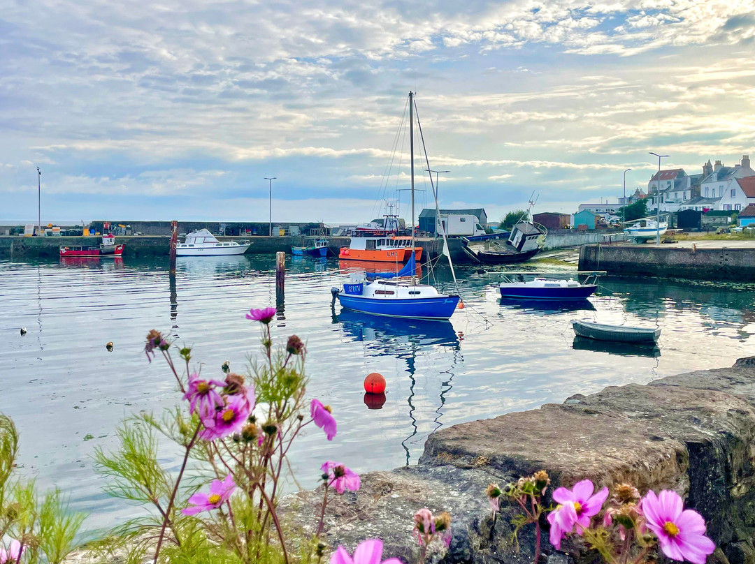 St Monans Harbour-St Monans必去景点