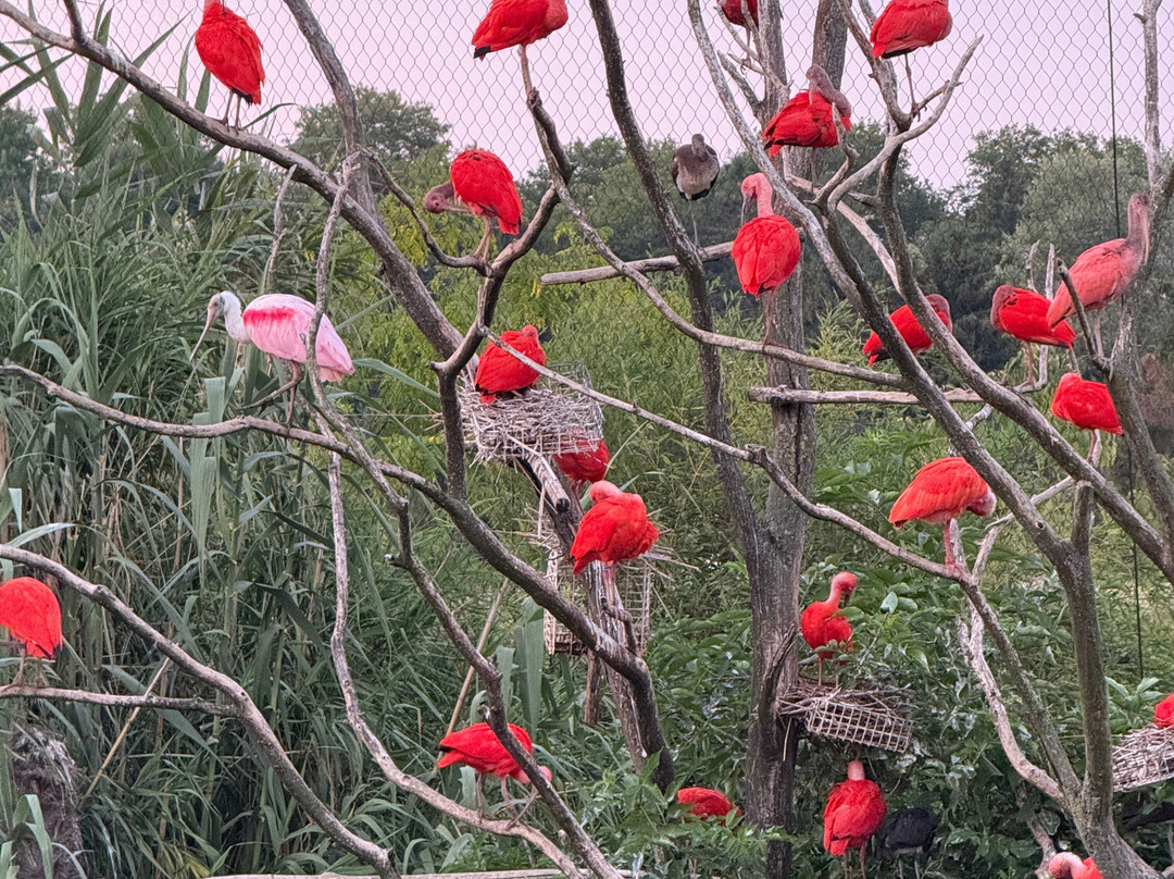 Parrot World-Crecy-la-Chapelle必去景点
