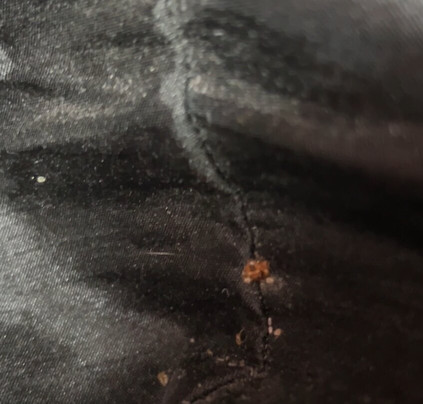 查尔斯湖赌场区温盖特温德姆酒店主图