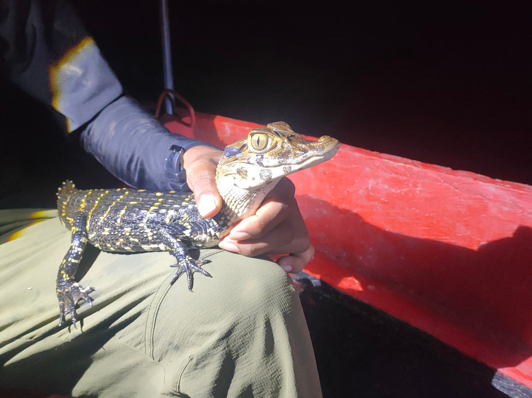 Amazon Jungle Johnny Tours-Puerto Narino必去景点