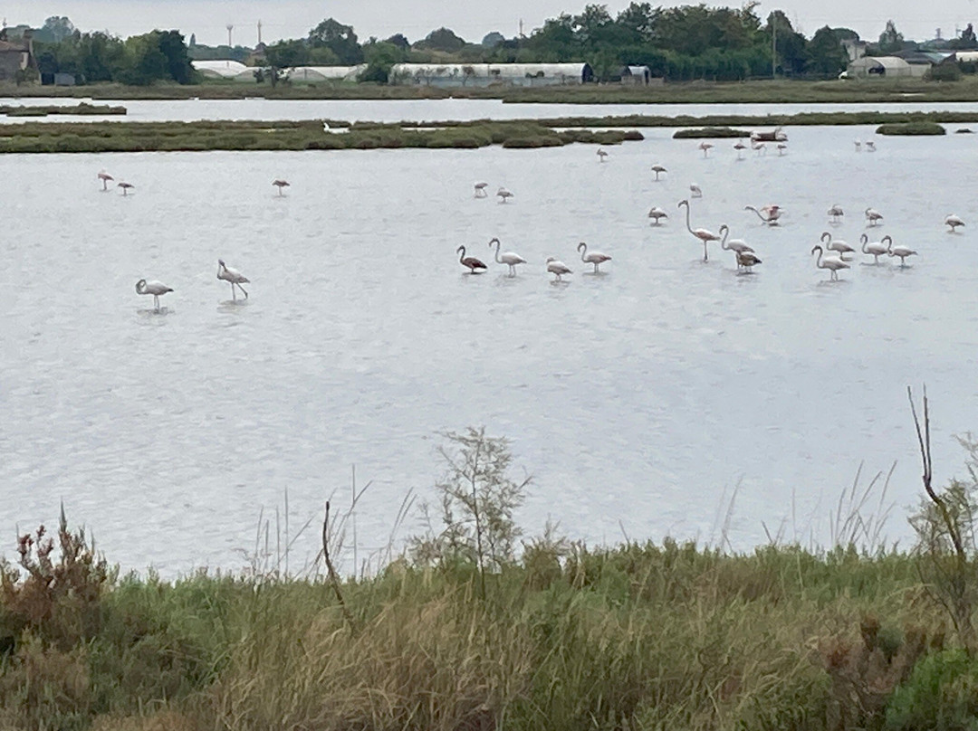 Lio Piccolo-卡瓦利诺-特雷波尔蒂必去景点