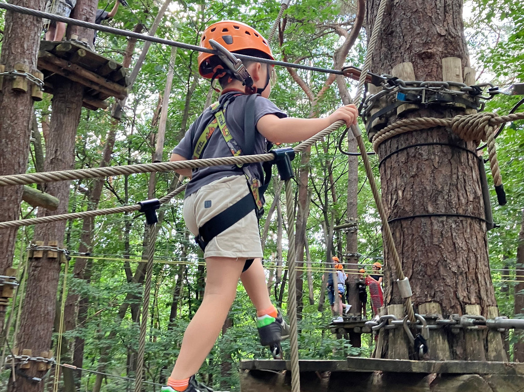Klimrijk Brabant-Veldhoven必去景点