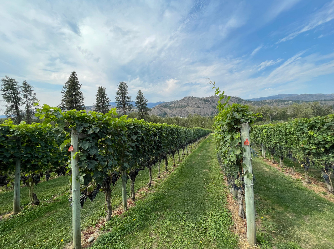 River Stone Estate Winery-Oliver必去景点