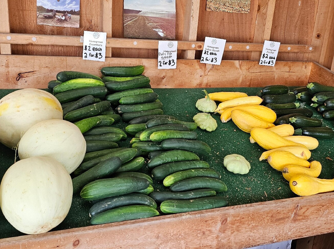 Burton Farms-Glen Arm必去景点