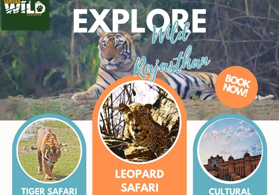 Sariska Wild Ventures