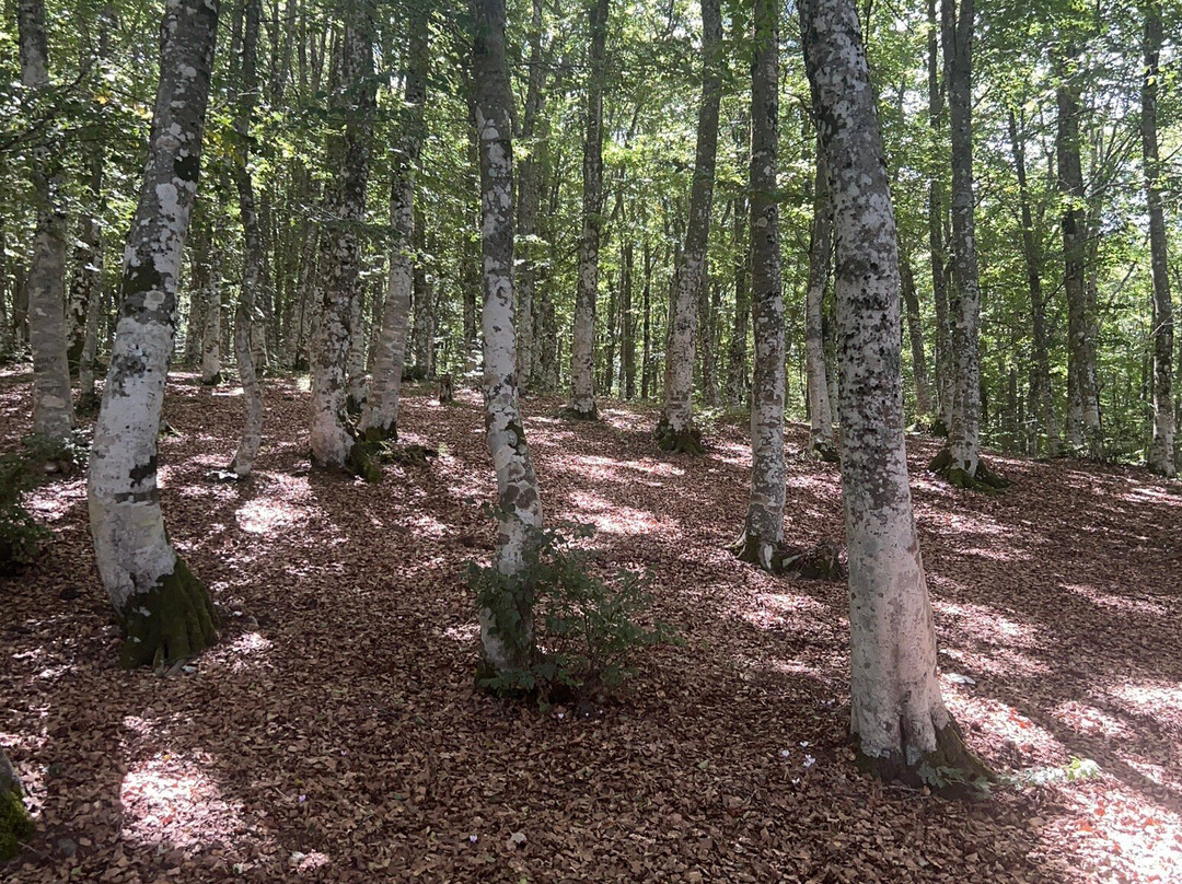 Lago Maulazzo-Alcara li Fusi必去景点