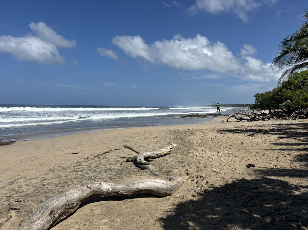 Playa Avellana-Playa Avellanas必去景点