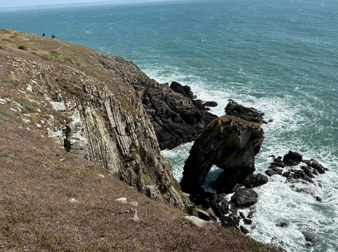 Porth Clais Harbour-St. Davids必去景点