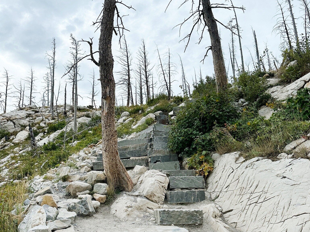 Bear's Hump-沃特顿湖国家公园必去景点