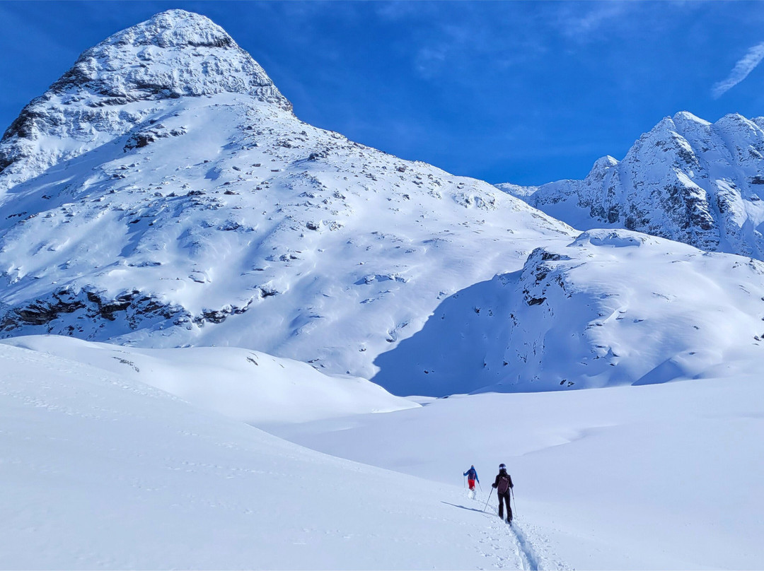 La Bessannaise主图