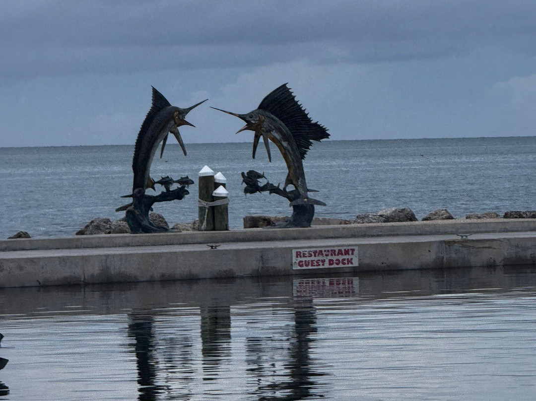 Whale Harbor Marina-伊斯拉摩拉达必去景点
