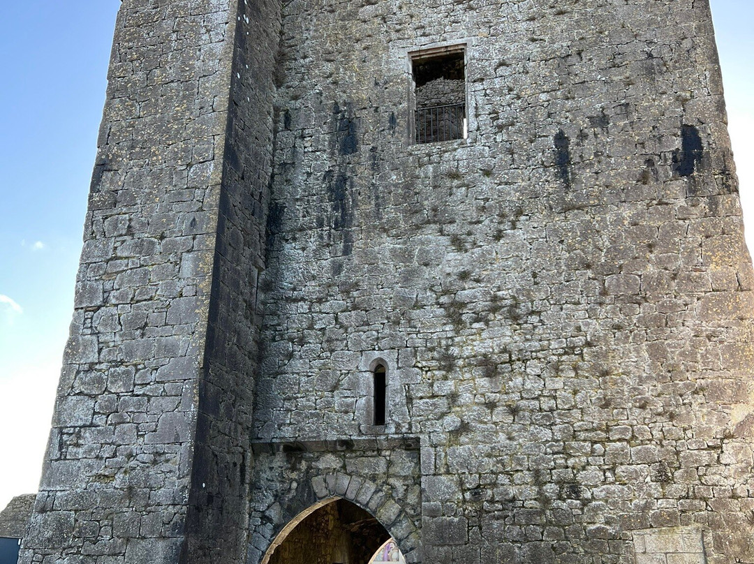 Kilmallock Medieval Tours-Kilmallock必去景点