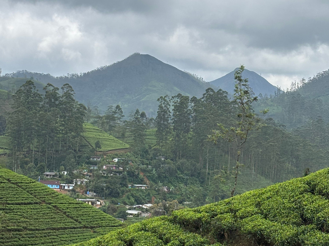 The Ella Odyssey Train-康提必去景点
