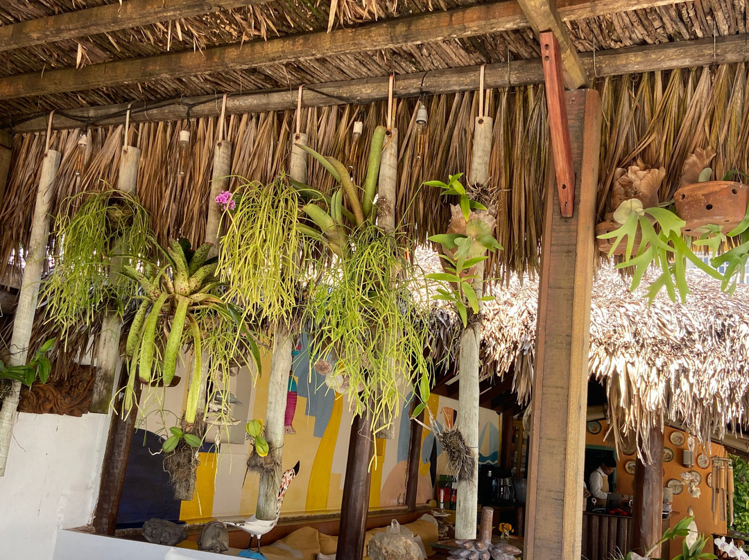 Manary Praia Hotel主图