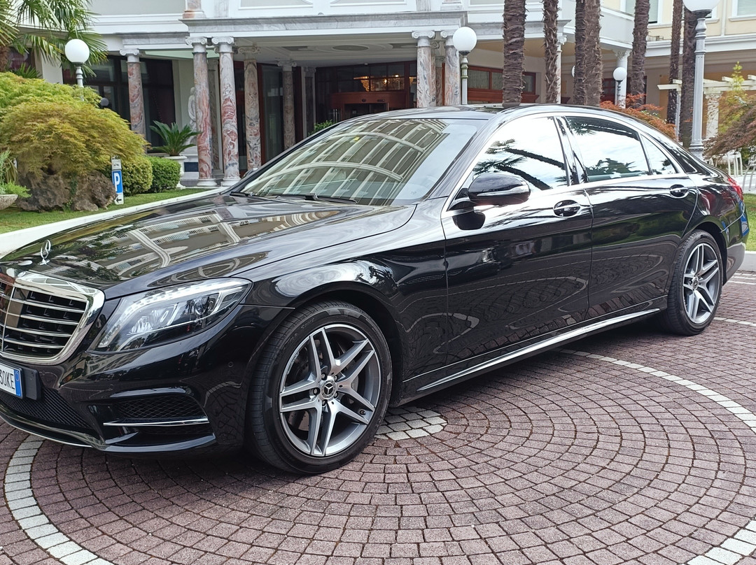 Luxury Transfer Services®Venezia-威尼斯必去景点