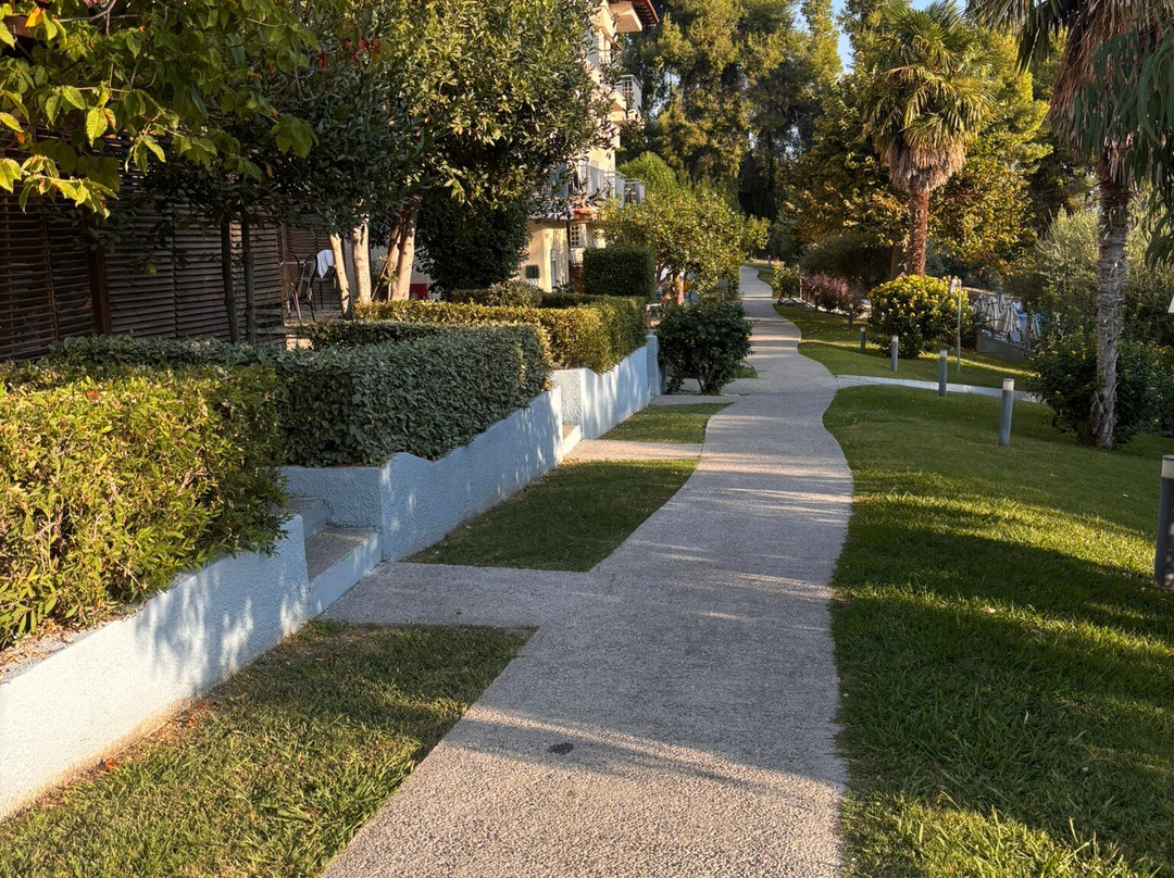 Avatel Eco Lodge主图