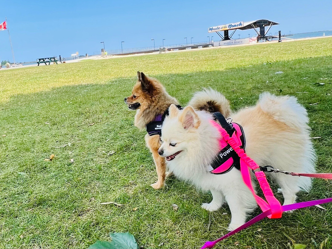 Pointe aux Barques Lighthouse-Port Hope必去景点