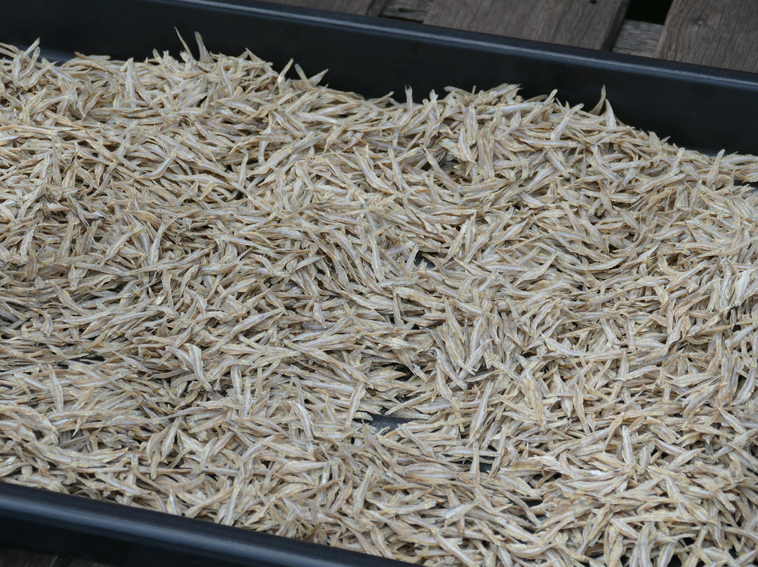 渔村-山打根必去景点