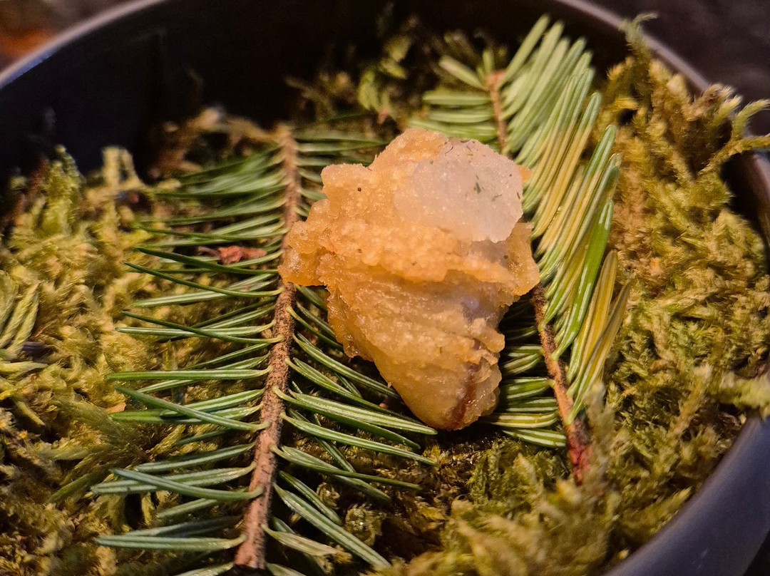 高级花园客栈主图