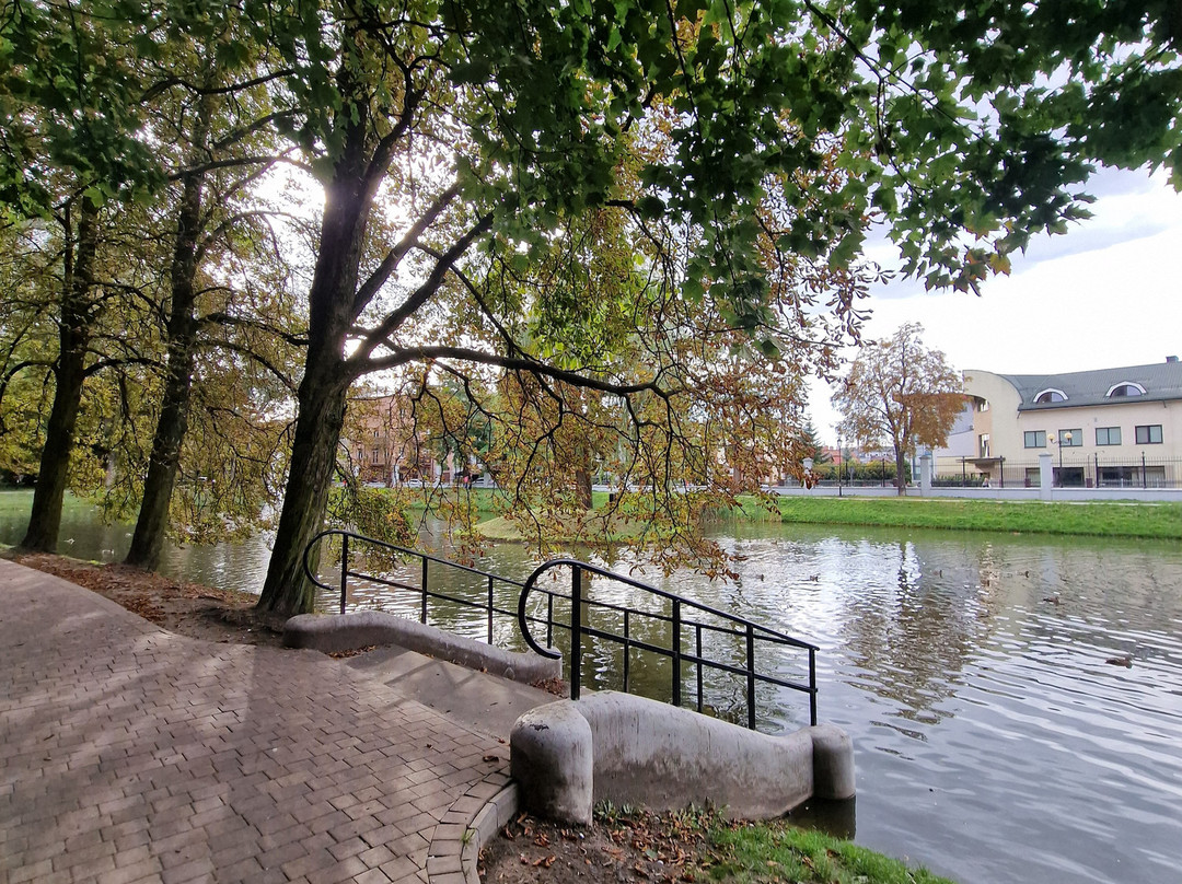 Park Miejski Aleksandria-Siedlce必去景点