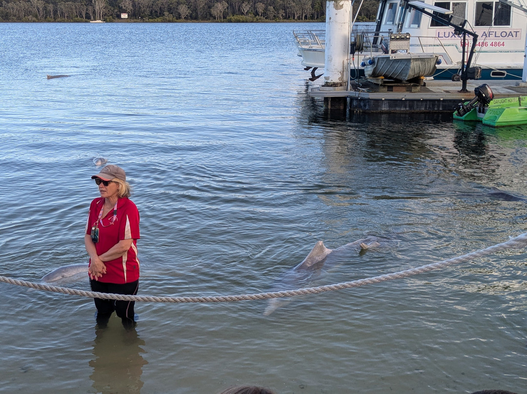 Barnacles Dolphin Centre-Tin Can Bay必去景点