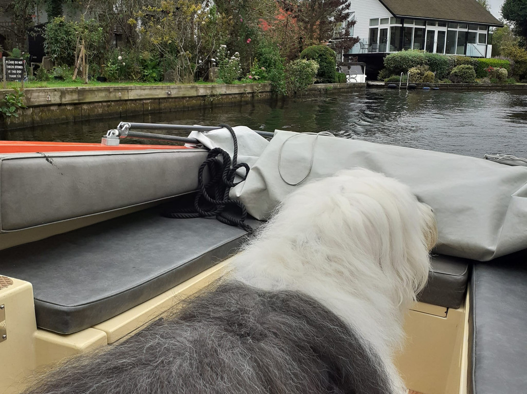 Wroxham Boat Hire-Hoveton必去景点