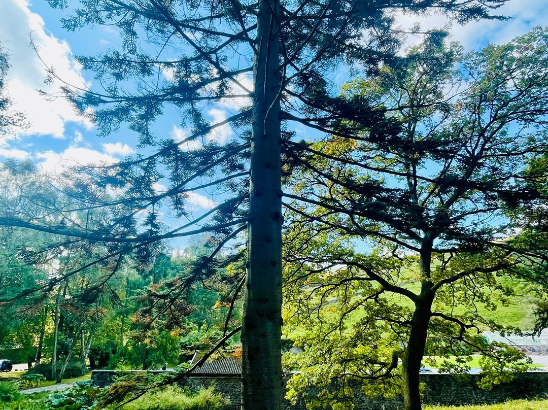 Parcevall Hall Gardens-斯基普顿必去景点