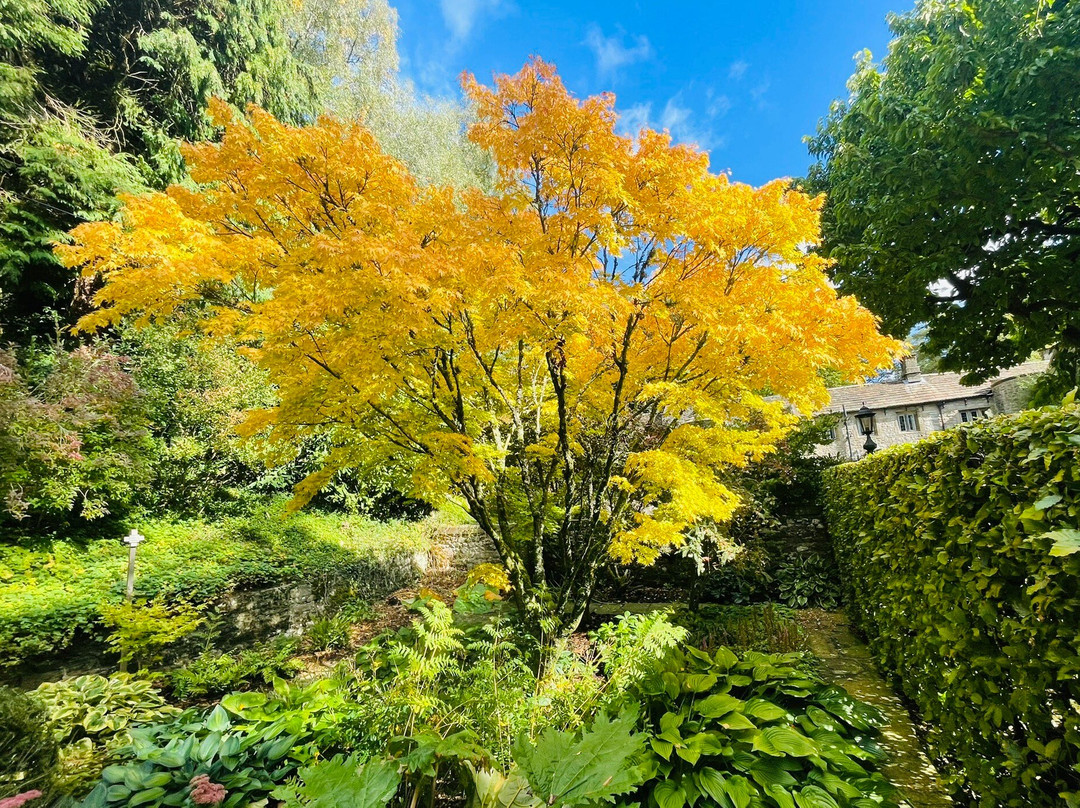 Parcevall Hall Gardens-斯基普顿必去景点