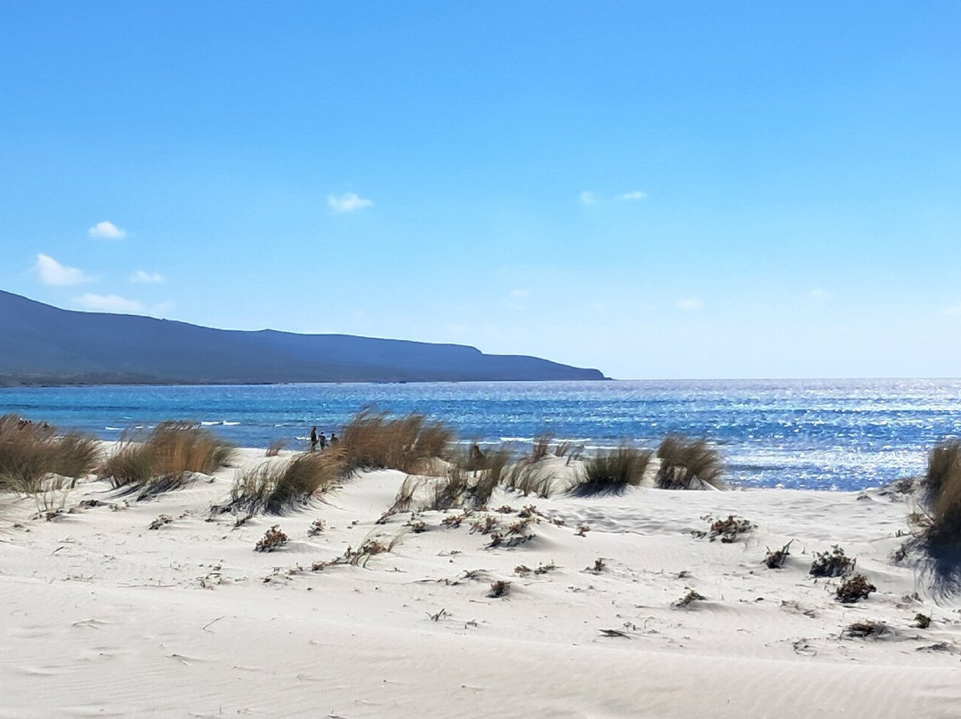 Spiaggia Is Arenas Biancas-Teulada必去景点