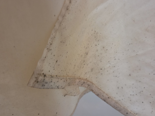 Haughton Hall Hotel Spa-Shifnal必去景点