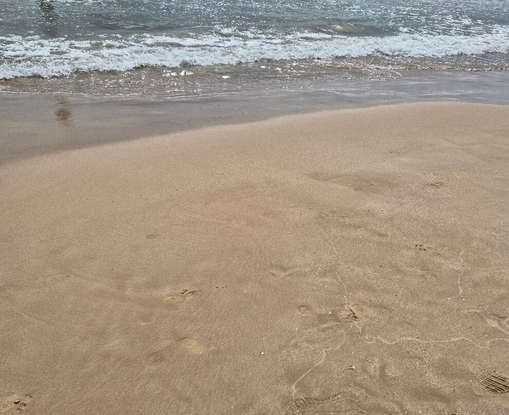 Playa de Ponent-萨洛必去景点