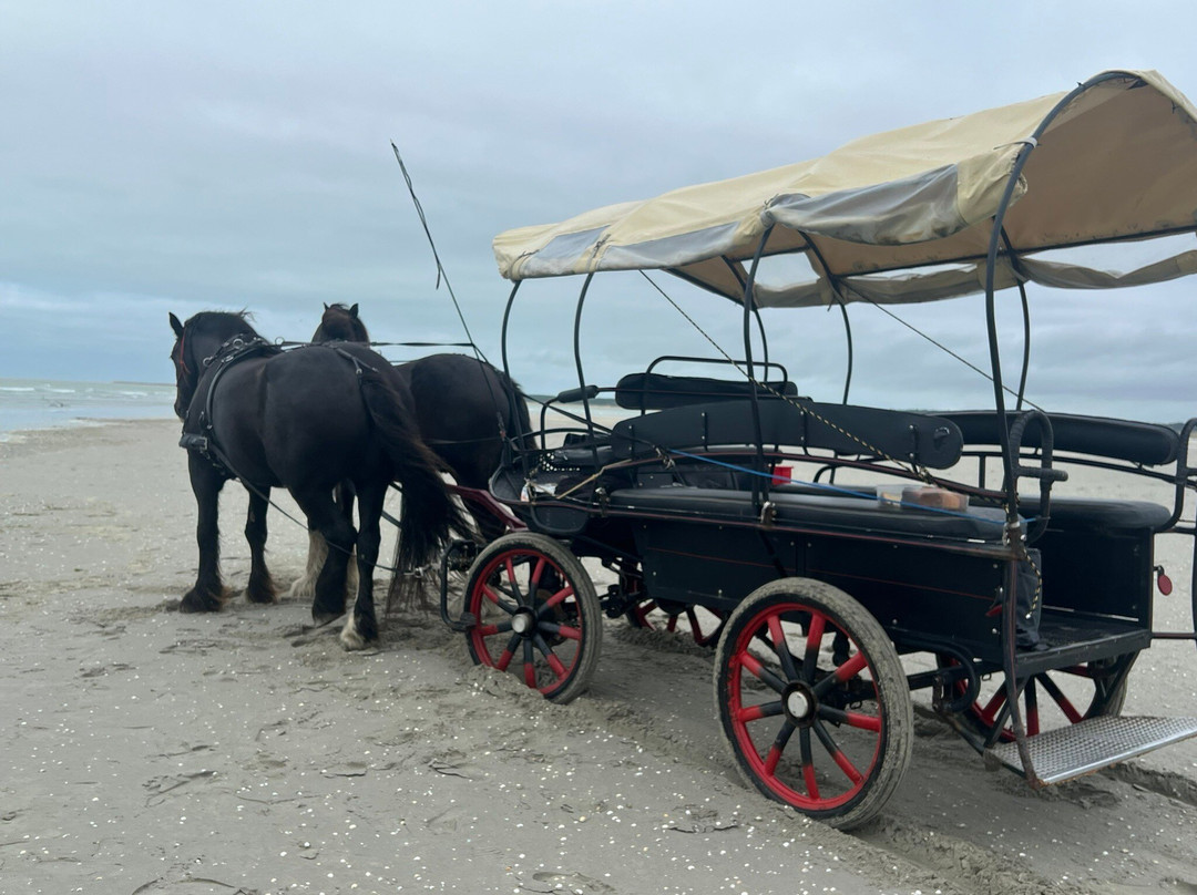 Carriage Outings-Le Crotoy必去景点
